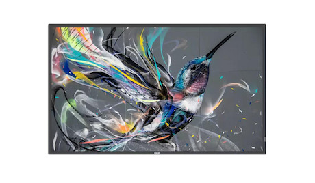 Philips 65BDL3511Q/02 Q-Line 65" Ultra-HD Display mit integriertem Mediaplayer