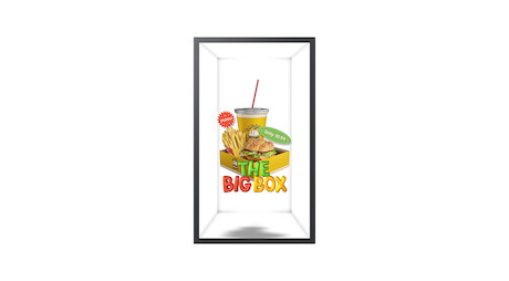 Samsung SM55HX