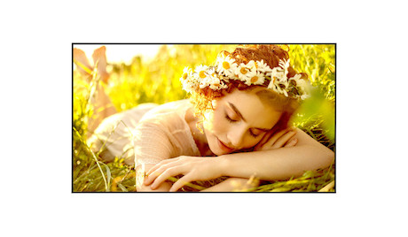 LG Prof. Display 32UL5Q-M