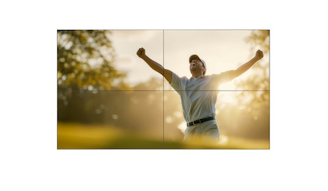 Philips 55BDL8107X/00 55" FHD Videowand