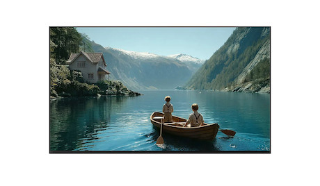 Sony Display 65" BRAVIA 3m2 LED TV