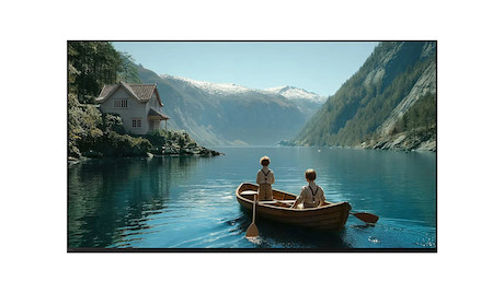 Sony Display 75" BRAVIA 3m2 LED TV