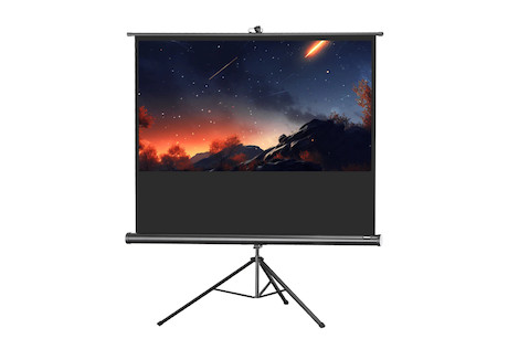 celexon Stativleinwand Economy 219 x 123 cm