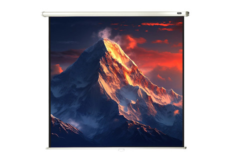 celexon Leinwand Rollo Economy 220 x 220 cm