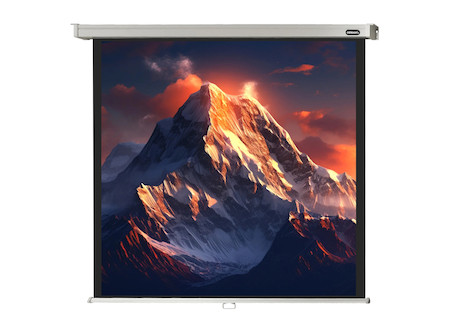 celexon Rolloleinwand Professional 300 x 300 cm - 1:1 - Gain 1,2 - 167"