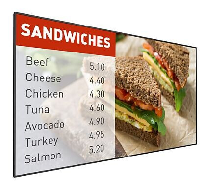 Philips 42BDL5055P/00 42" Display mit Full-HD Auflösung