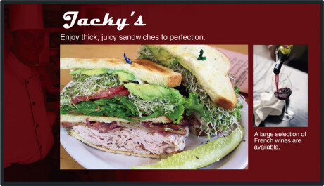 Panasonic TH-48LFE8E 48" Display mit Full-HD Auflösung