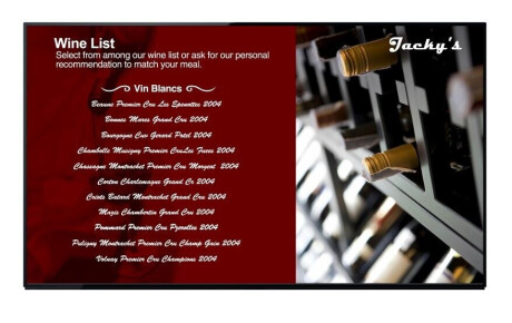 Panasonic TH-55LFE8E 55" Display mit Full-HD Auflösung