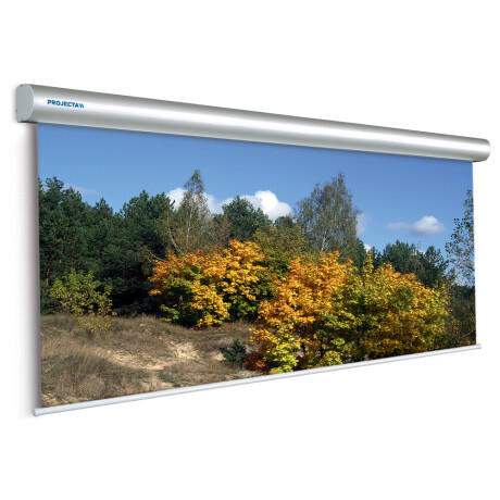 Projecta Motorleinwand Master Electrol 500 x 375 cm, 4:3, Mattweiss