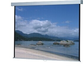 WS-P-ProScreen-Rollo 1:1 240 x 240 cm mattweiß 1,0 Gain