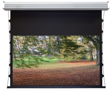WS-S-DE-GrandCinema, 16:9 305x172 cm Home Vision BE/BL 1,2 Gain
