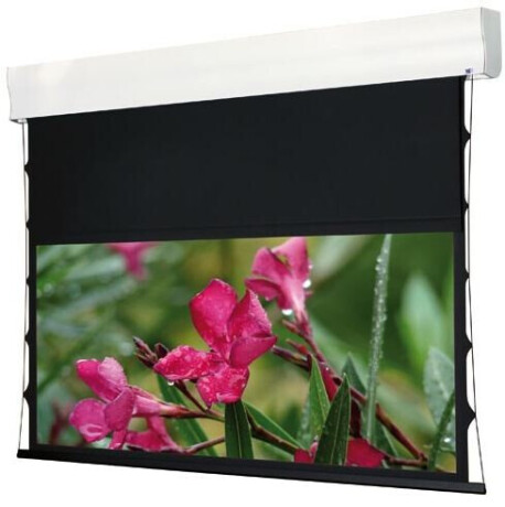 WS-S-4 Format-Wave 110 Zoll 4:3 223x167cm HomeVision BE/BL
