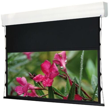 WS-S-4 Format-Wave 130 Zoll 4:3 264x198cm HomeVision BE/BL