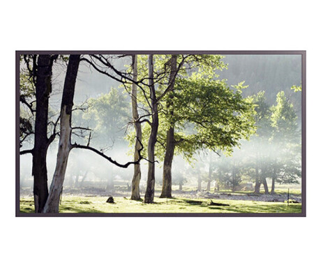 Hyundai D55EM 55" Display mit Full-HD Auflösung