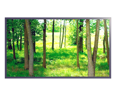 Hyundai D55AM 55" Display mit Full-HD Auflösung
