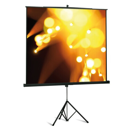 DELUXX Professional Stativleinwand 207 x 207 cm Mattweiss Classico
