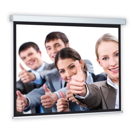 DELUXX Professional Rolloleinwand Proscreen 240 x 139 cm Mattweiss Classico