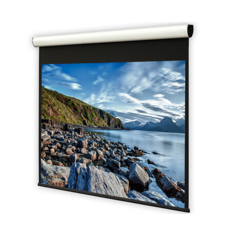 DELUXX Cinema Motorleinwand Elegance Mattweiß Varico Home - 1:1 - 213x213 cm - 119''