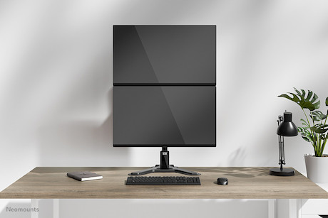 Neomounts Nero Dual monitor stand 10-32"