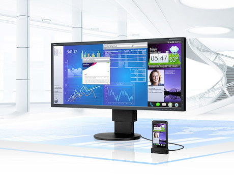 NEc MultiSync EA294WMi, schwarz 29" Monitor mit 2560x1080 und 6ms