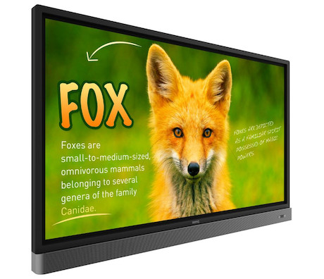 BenQ RP653K 65" Touchscreen mit 4K Auflösung