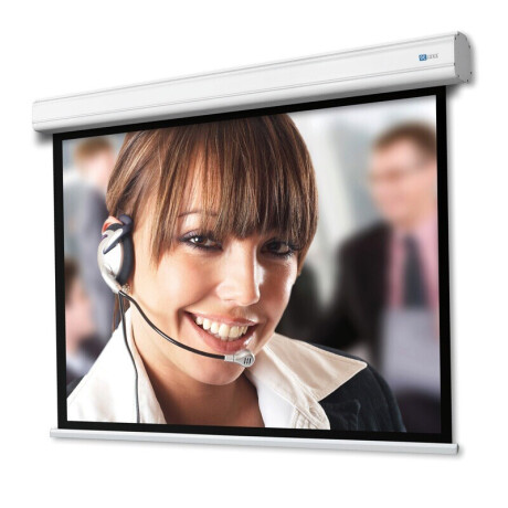 DELUXX Professional Motorleinwand 1:1 Mattweiss Vision Pro 274 x 274 cm
