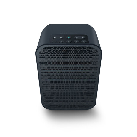 Bluesound PULSE FLEX 2i flexibler Streaming-Lautsprecher, Schwarz