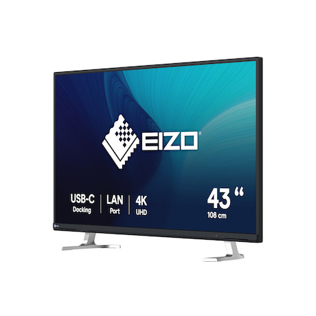 EIZO EV4340X FlexScan Monitor in Schwarz