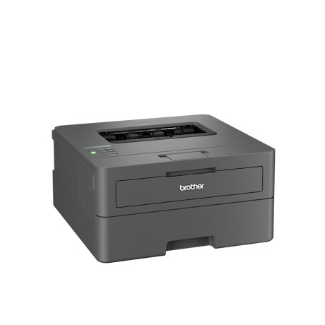 Brother HL-L2445DW kompakter Laserdrucker schwarz weiß mit WLAN/LAN und Duplexdruck