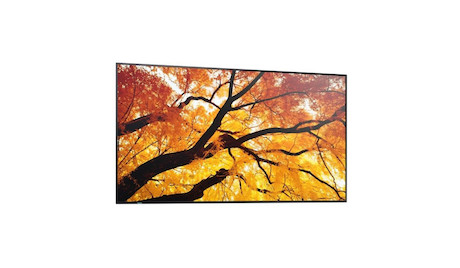 Sharp MultiSync M862 86" Professional Large Format Display