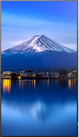 Sharp MultiSync P656 LCD 65" Professional Large Format Display