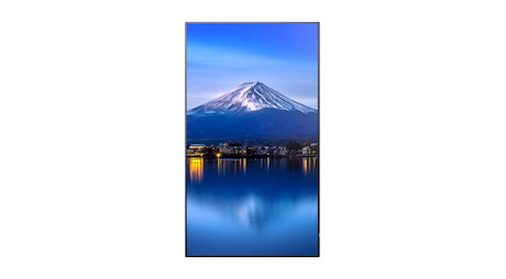 Sharp MultiSync P656 LCD 65" Professional Large Format Display