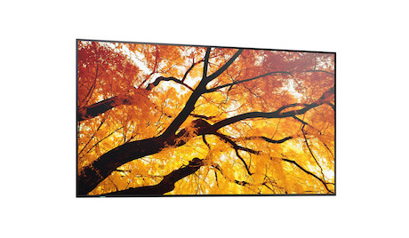Sharp MultiSync M652 65" Message Large Format Display
