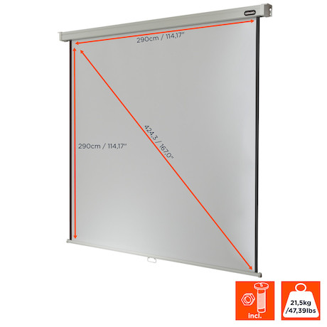 celexon Rolloleinwand Professional 300 x 300 cm - 1:1 - Gain 1,2 - 167"