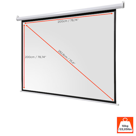 celexon basic line Motorleinwand 200 x 200cm,Leinwand Format 1:1, Heimkino Leinwand, Beamerleinwand,