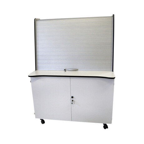 Liesegang Display Schrank ST 55 - hellgrau mit silberfarbigem Rollo