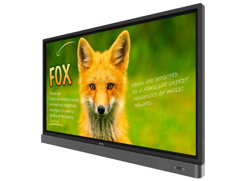 BenQ RP653K 65" Touchscreen mit 4K Auflösung