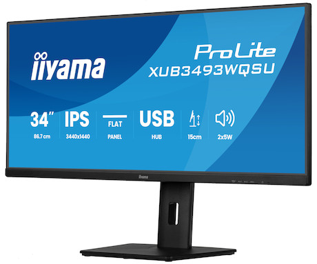 iiyama ProLite XUB3493WQSU-B6 34” Ultra-Wide Monitor mit IPS-Panel-Technologie, PiP, PBP und einem h