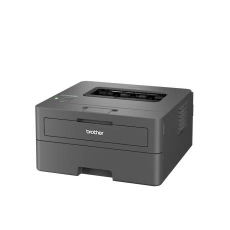 Brother HL-L2445DW kompakter Laserdrucker schwarz weiß mit WLAN/LAN und Duplexdruck