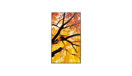Sharp MultiSync M862 86" Professional Large Format Display