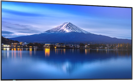 Sharp MultiSync P656 LCD 65" Professional Large Format Display