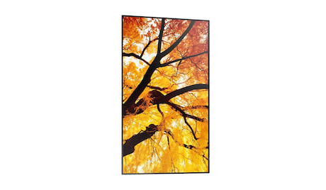 Sharp MultiSync M652 65" Message Large Format Display