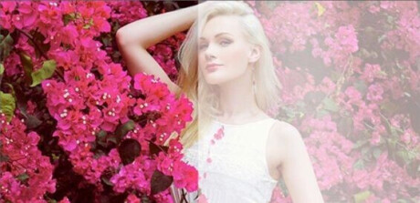 DELUXX Cinema Rahmenleinwand SlimFrame 203 x 114cm, 92" - BRIGHTVISION