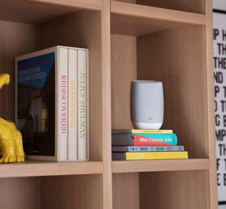 Polk Audio Assist Smart Speaker with the Google Assistant Built-In, grau