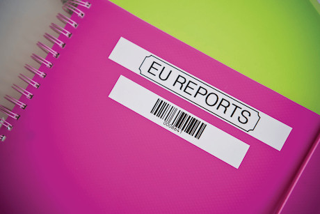 Brother TZe-N251 Schriftband weiß/schwarz 24mm/8m