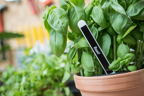 Brother TZe-325 Schriftband schwarz/weiß 9mm/8m