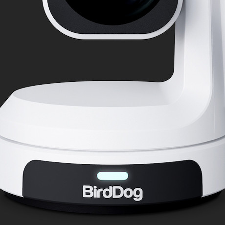 BirdDog MAX professionelle PTZ-Kamera in weiß