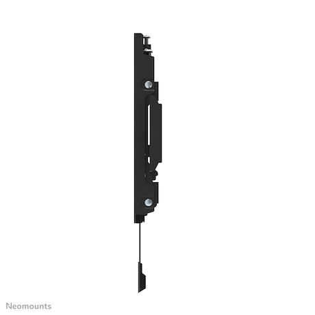 Neomounts WL30S-850BL12 TV-Wandhalterung für 24-65" Displays