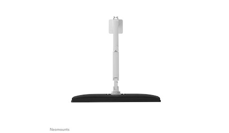 Neomounts Next Slim Desk Mount single display