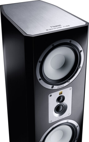 Magnat Signature 1109 High-End-4-Wege-Bassreflex Lautsprecher, schwarz